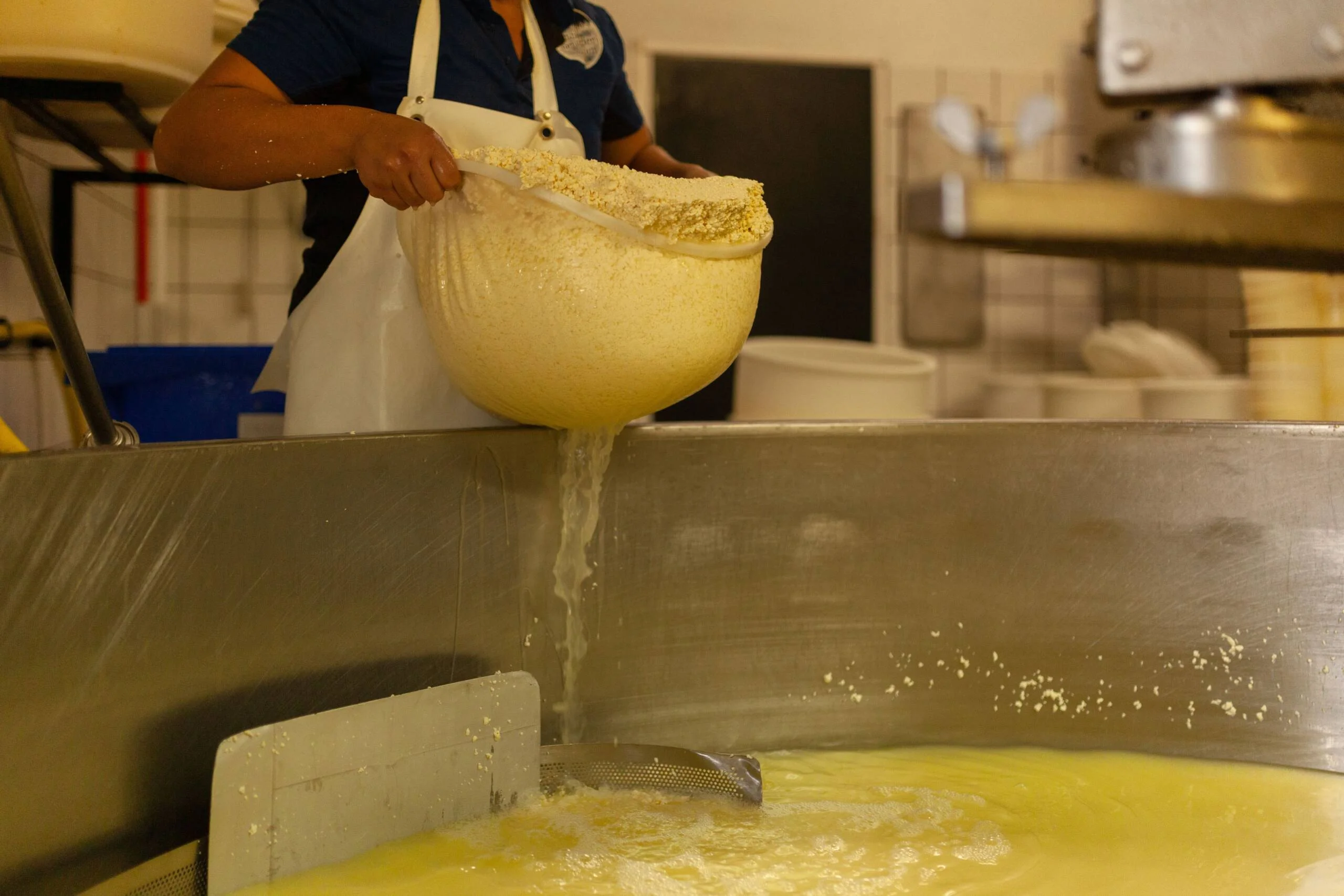 Equipo Queso San Pedro